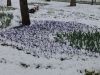 DSC08498.thumb.JPG.4db2ab5565aeeffb27bd3737467d419c.JPG