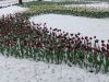DSC08501.thumb.JPG.c04feea3e29c234f7ffc6e0ab93be1ca.JPG