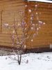 DSC08502.thumb.JPG.a20dab45ab10f1e4e36a4681c7cb44b3.JPG