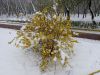 DSC08506.thumb.JPG.781d52ae6b5dd35b7696ede52f553c88.JPG