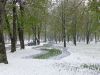 DSC08508.thumb.JPG.671c53b42119e08994e4d4afadebc670.JPG