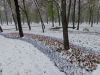DSC08511.thumb.JPG.3c47fbf65e7f63a32cac41911346c741.JPG