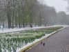DSC08514.thumb.JPG.339543d17689ceb7b0e1474cea2e04ab.JPG