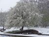 DSC08517.thumb.JPG.e1813afa2339a5a5419abb2fa2338a8c.JPG
