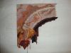 DSC08532.thumb.JPG.c9292c8ea043d17d5096fa467c80a34c.JPG