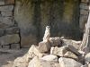 DSCN5241.thumb.JPG.2413c92b4e67ae5804a59deaac8f8cf7.JPG