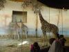 DSCN5244.thumb.JPG.dda0fa0745ec895a237d88abfb060ebb.JPG