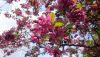 DSC_0135.thumb.JPG.789313b8242f88c031729ba5c9a35783.JPG