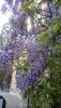 DSC_0208.thumb.JPG.e5c3736083ca17480594185324aa40e1.JPG