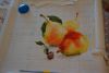 DSC_1100.thumb.JPG.a8fc9d291b7fbc4c559edb41297fde03.JPG
