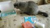 DSC_5847.thumb.JPG.44d3bbcbfe13e700fc21cd002484ed1a.JPG