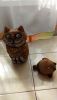 DSC_5867.thumb.JPG.ae57e984b34c8010cdfe373ab6e79498.JPG