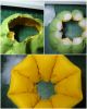 FotorCreated5.thumb.jpg.782db54556c9e6f6fa198b666f7a658b.jpg