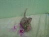IMG-1464857596340-V.thumb.jpg.84c636756802699ee22ef4c662a5b2c9.jpg