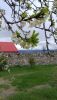 IMG-20170410-WA0007.thumb.jpg.1fba655efbb63d3fd779c1e87a55c4ba.jpg