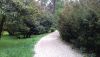 IMG-20170411-WA0007.thumb.jpg.f8c6329c7975fe97ecc5c8f36df35f6b.jpg