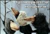 IMG-20170417-WA0000.thumb.jpg.04b1ac9a6c4aaaa4fe9e5c09cea7d893.jpg
