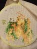 IMG_20170325_024512.thumb.jpg.93fa1221aa6a3a27baf415438d909638.jpg