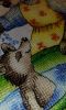 IMG_20170402_191225.jpg