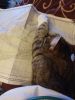 IMG_20170408_155334.thumb.jpg.167fbbbd51494e12ce18583287be9a29.jpg