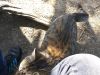 IMG_20170416_143535.thumb.jpg.b3cd09f8b098a012887db23eccfe7ea0.jpg