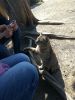 IMG_20170416_143912.jpg