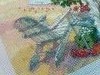 IMG_20170424_200744.thumb.jpg.9713604469ef7fbffda0d9be0644159a.jpg?1493055811132