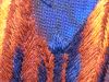 IMG_2748.JPG