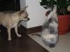 IMG_3920.thumb.JPG.a09ce3d94c025dc0ec9a0e5c1964235c.JPG