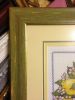 IMG_4941.thumb.JPG.b2c430e3fd288e59a2ddae232e5f243f.JPG