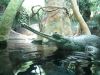 IMG_5795.thumb.JPG.93c4f5a79f40a0cd67ee8e415600897e.JPG
