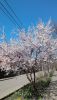 P_20170324_122926.thumb.jpg.29963dba369c6eaa80544871a93383eb.jpg
