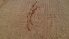 P_20170401_064513.thumb.jpg.dc41419b40bee8143365d68de40a571c.jpg