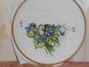 SDC16234.thumb.JPG.978031ae8ba3b86a3fbae6bbedcd5be1.JPG