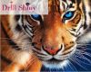 Siberian-font-b-Tiger-b-font-font-b-Diamond-b-font-Embroidery-Full-Square-Drill-DIY.thumb.jpg.63597f2fb6e9d6e76e3565b453360198.jpg