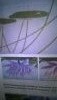 WP_20170413_09_26_57_Pro.thumb.jpg.35aa995659c6e4993c6c0558b3c7b5fd.jpg?1492058742878