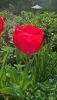 WP_20170418_09_36_30_Pro.thumb.jpg.23b77e8e8c7c9291b18e3dba798387ad.jpg