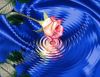 images.thumb.jpg.ccd428d0f675440f38ff969477e61bda.jpg