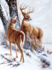 m-30_1316228408.thumb.gif.40d45061aca496fa6328bfde1fe70268.gif