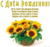 podsolnuhi.thumb.jpg.44d6d930f2776855238fb0e2dd8d02d8.jpg
