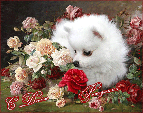 post-29529-1433348807.thumb.gif.1e0d4d7feb25a6aae5400eac43f8677f.gif