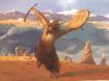 shaman-asia.thumb.jpg.50b96eb8112b6937d491e0760e541d17.jpg