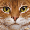 ta-1543_tela_artis.thumb.png.106004f508c793eee6753e63ca319118.png