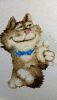 1.thumb.JPG.3ffc0cc9ad1d5bb4885bba06ee5b9c02.JPG