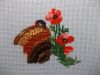 1.thumb.JPG.ed52ad45a857ed21ea790608b92e08a4.JPG
