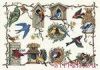 Dimensions 03810, A Bird for All Seasons