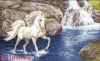 15025.thumb.jpg.6dba833e4e47dc77219625fd9a16edef.jpg