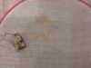 20170430_210431.thumb.jpg.1ffa86bce0e577de7c90ab38fe9e7740.jpg