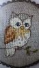 20170503_093616.thumb.jpg.2bf860488cfd7020949488f44d55c653.jpg