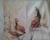 20170504_102549.thumb.jpg.0ba87c5c187dbfea46ace1dce5c90cd3.jpg